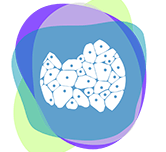 CYTOLOGY