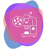 FOOD MICROBIOLOGY