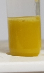 Qualis Oleum - Image 3