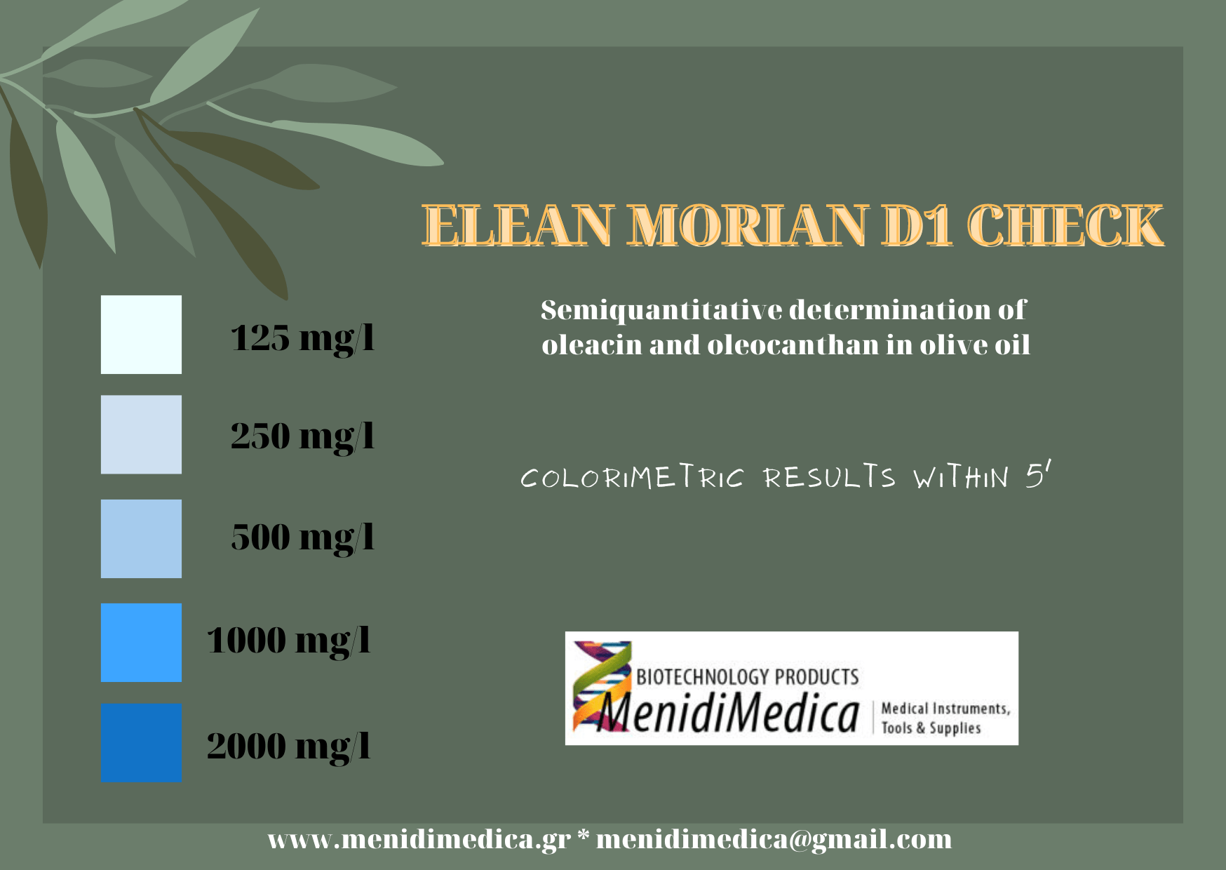 Elean Morian D1 Check